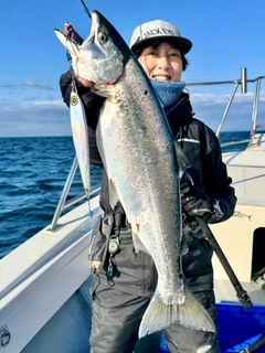 サクラマスの釣果