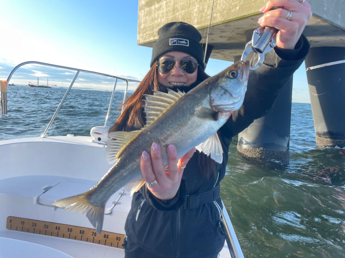 わくわく屋さんの釣果 3枚目の画像