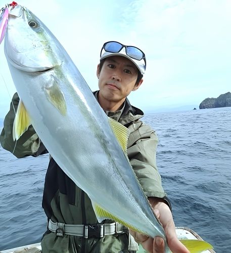 メジロの釣果