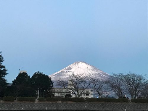 レインボートラウトの釣果