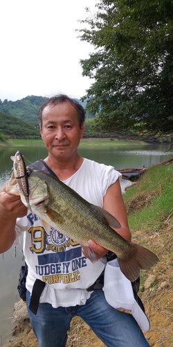 ブラックバスの釣果