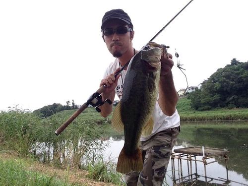 ブラックバスの釣果