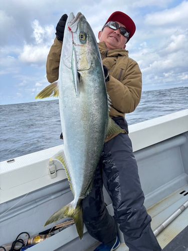 ヒラマサの釣果