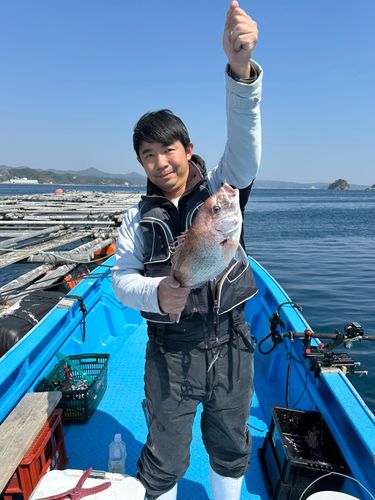 マダイの釣果