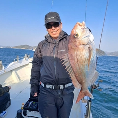 タイの釣果