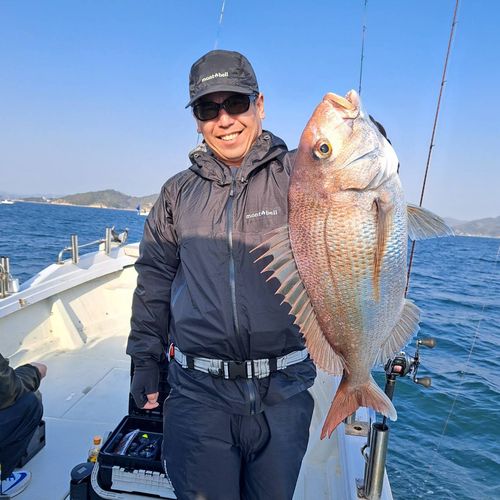 タイの釣果