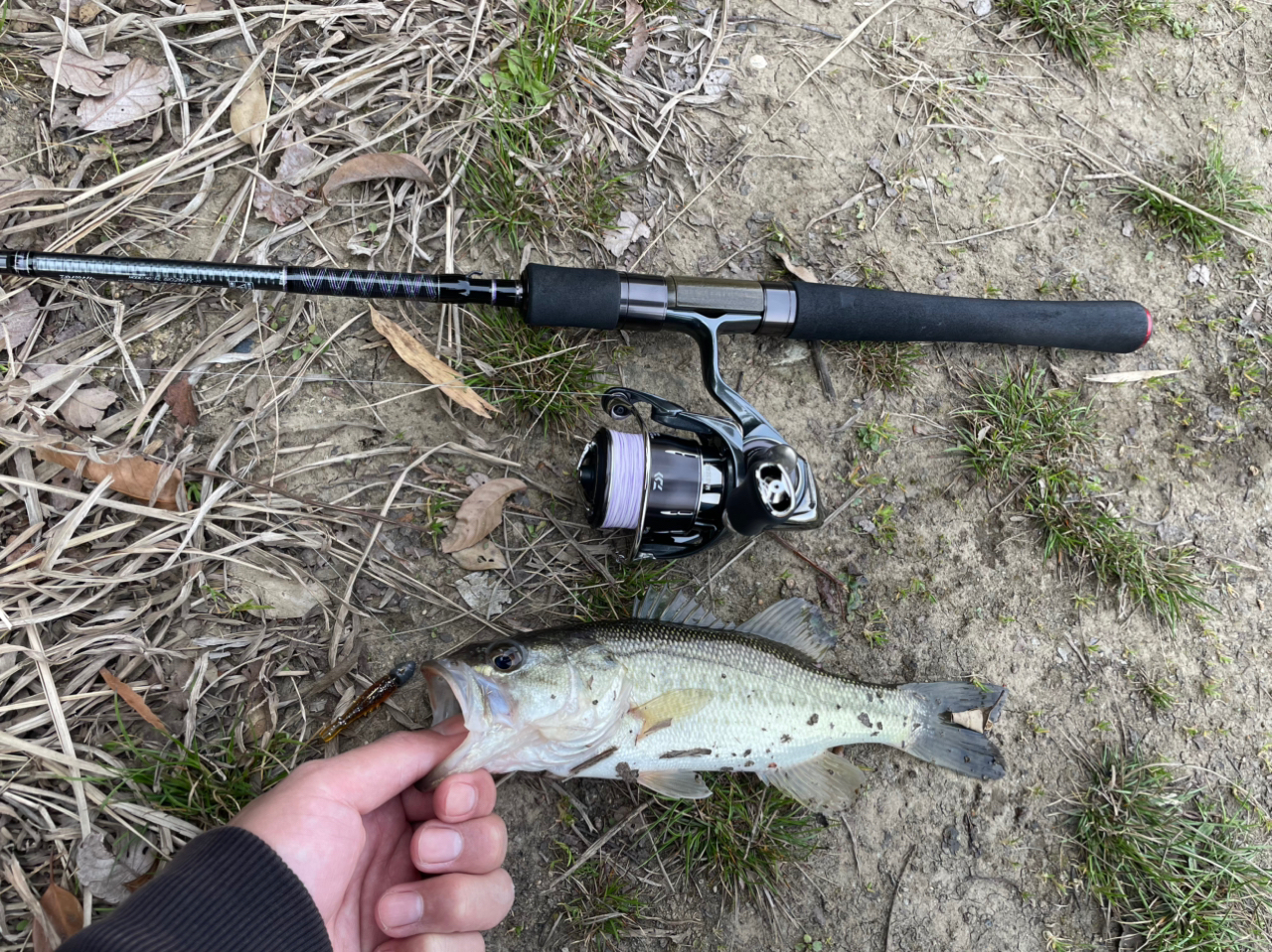 DAIWA 18ハートランド 6102MLFS-19の最安値・インプレ・釣果