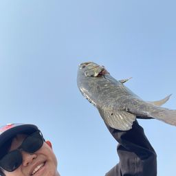 スモールマウスバス