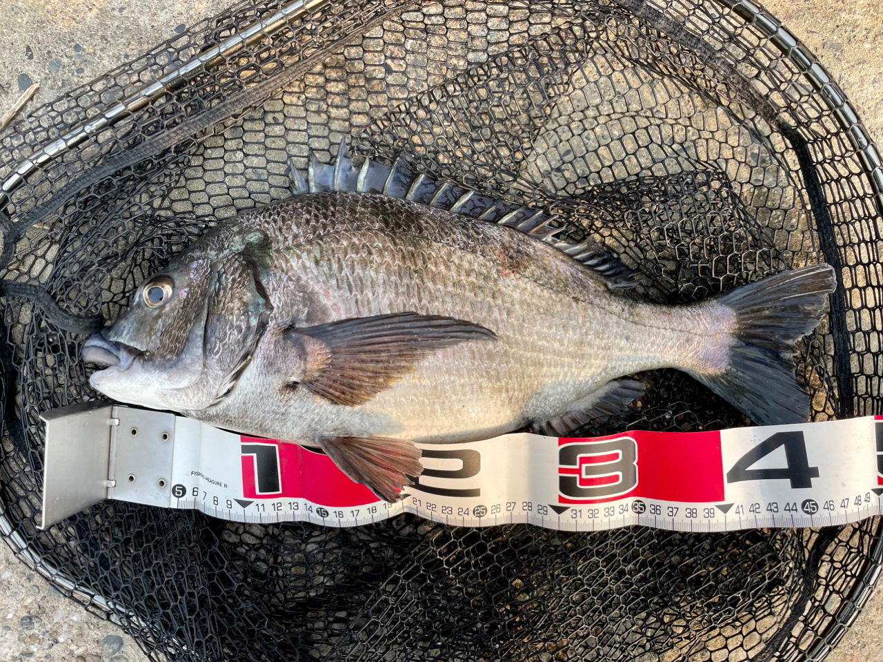 DAIWA 21オーバーゼア グランデ（サーフモデル） 109ML/Mの最