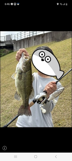 ブラックバスの釣果