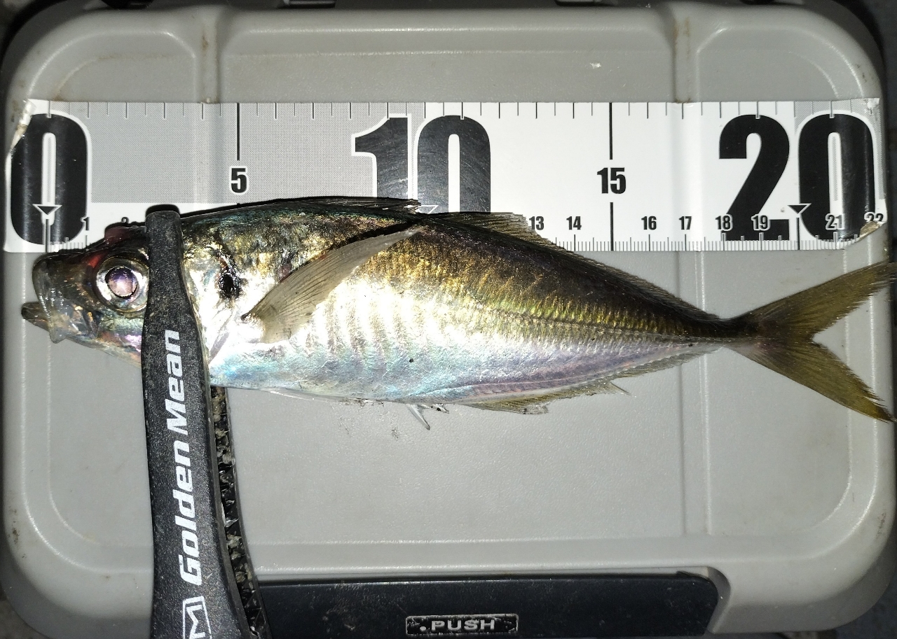 AbuGarcia ソルティーステージ プロトタイプ アジング XAJS