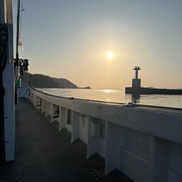 ウッカリカサゴ