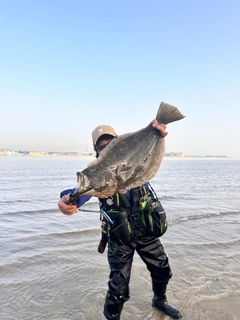 ヒラメの釣果