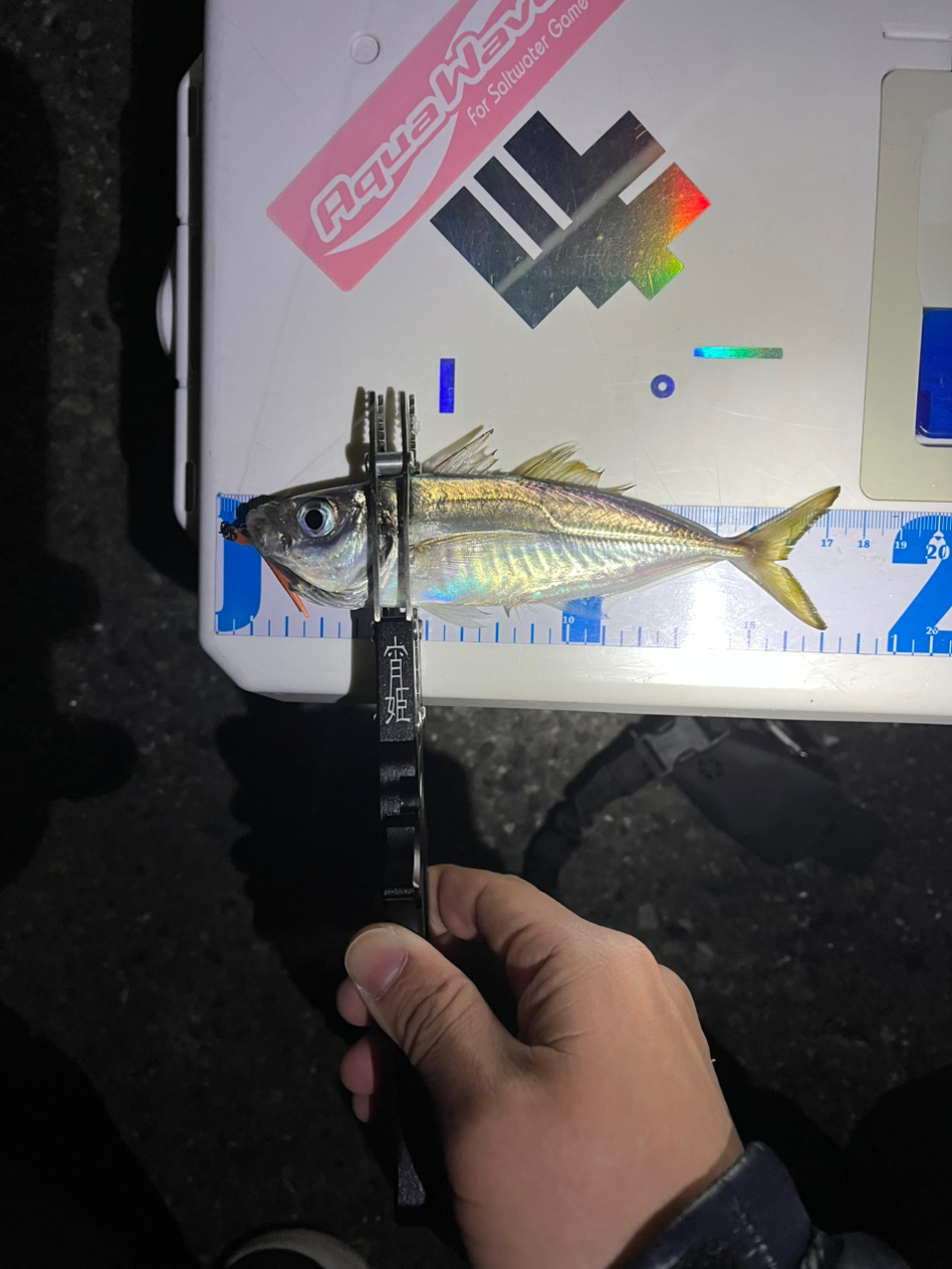 SHIMANO 19ヴァンキッシュ C2000SSSの最安値・インプレ・釣果