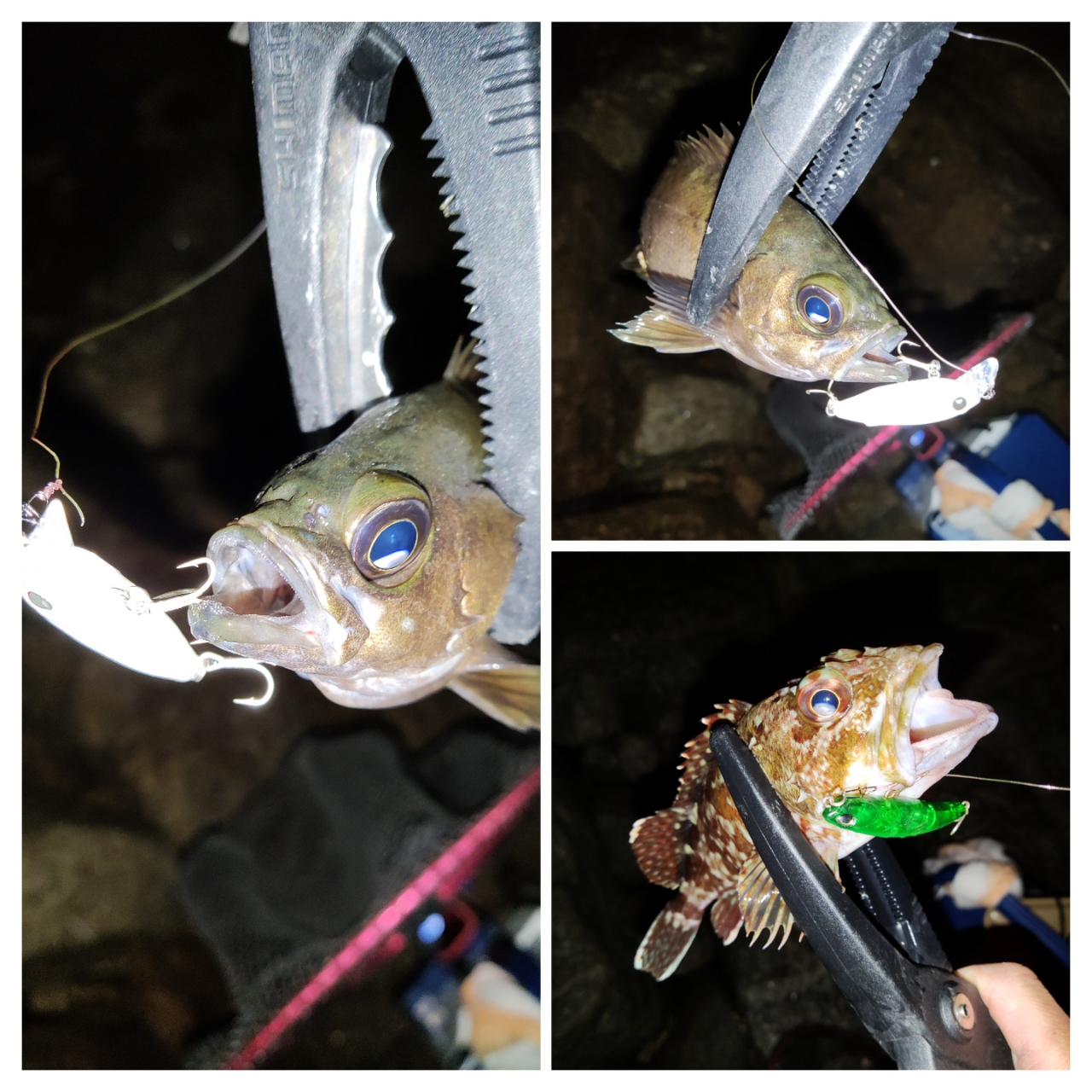 SHIMANO 17ソアレ CI4+ S706UL-Tの最安値・インプレ・釣果 SHIMANO 17ソアレ CI4+ S706UL-Tの最安値・インプレ・釣果