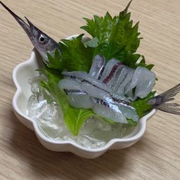 サヨリ
