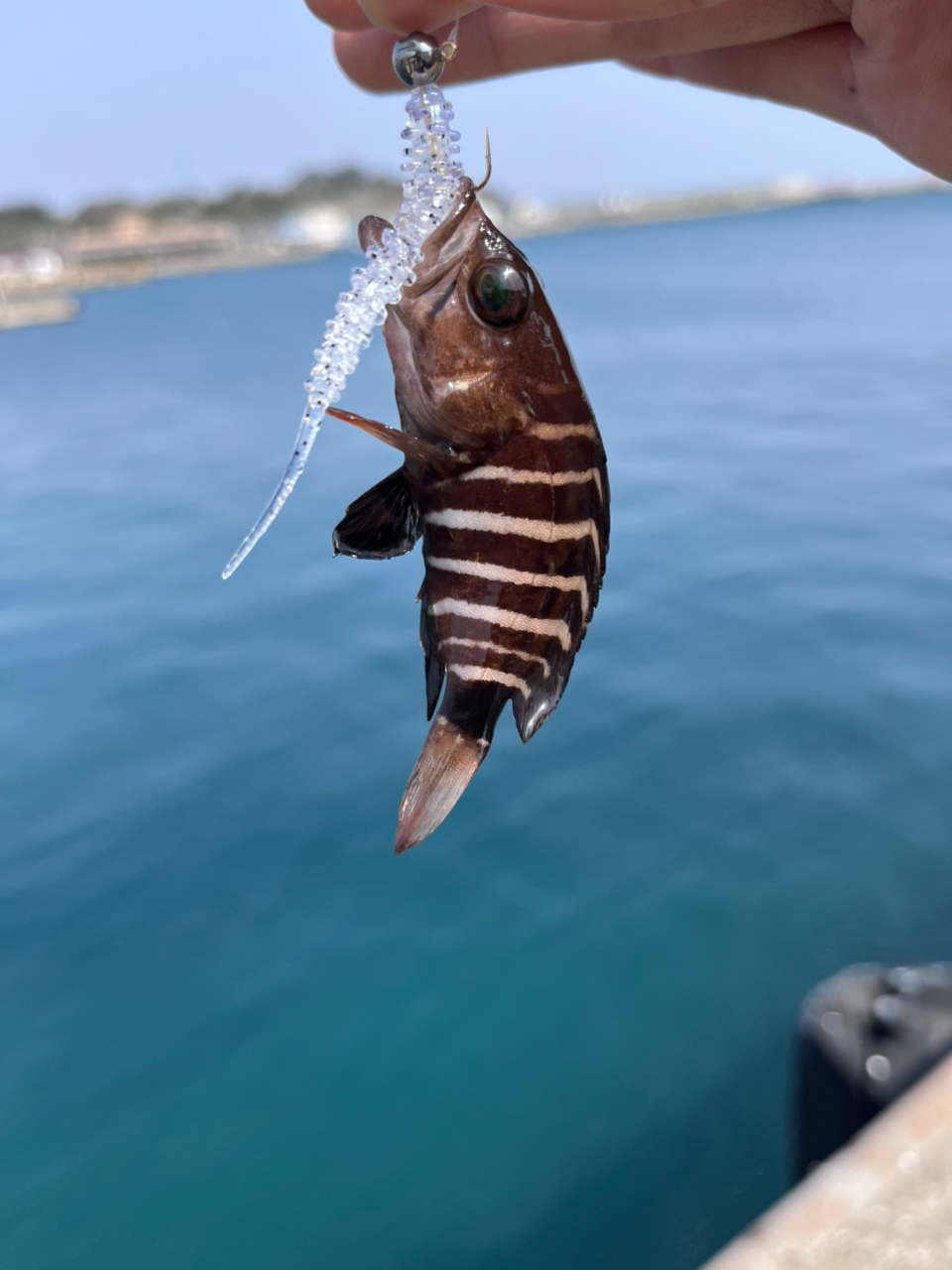AbuGarcia ソルティーステージ プロトタイプ アジング XAJS