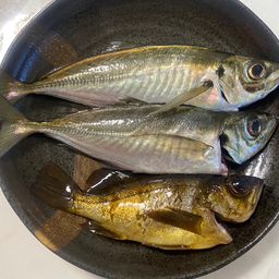アジ