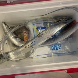 タチウオ