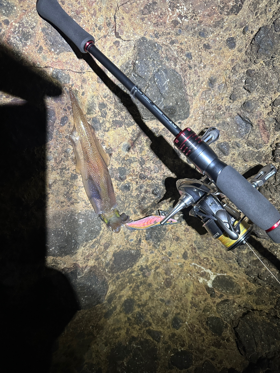 DAIWA 21エメラルダス ストイスト RT 76MMHの最安値・インプレ