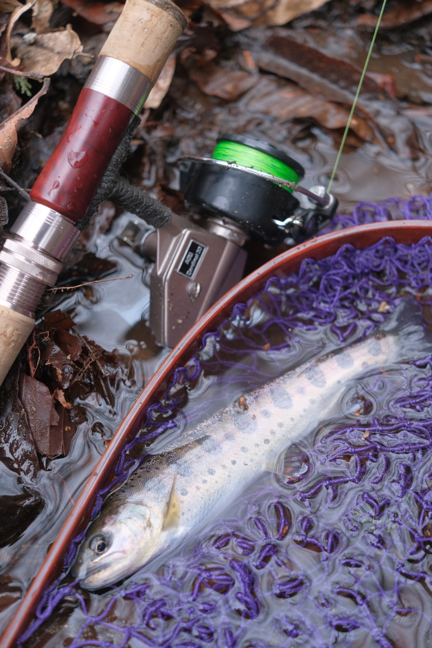 AbuGarcia トラウトフィールド TFC-502Lの最安値・インプレ