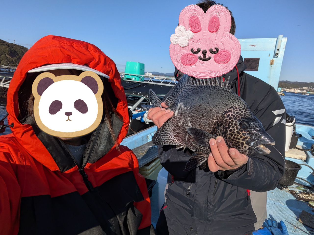 イシガキダイ