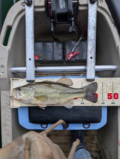 釣果