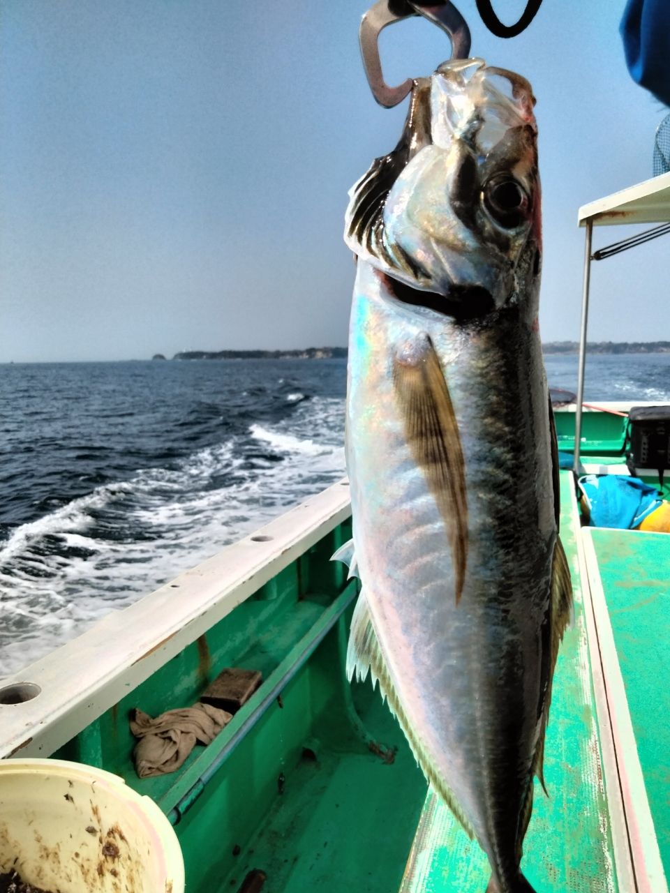 東京湾の釣り人さんの釣果 2枚目の画像