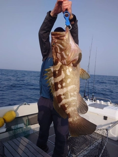 クエの釣果