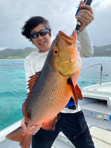 バラフエダイの釣果