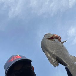 スモールマウスバス