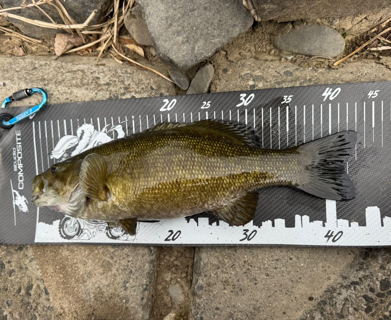 スモールマウスバス