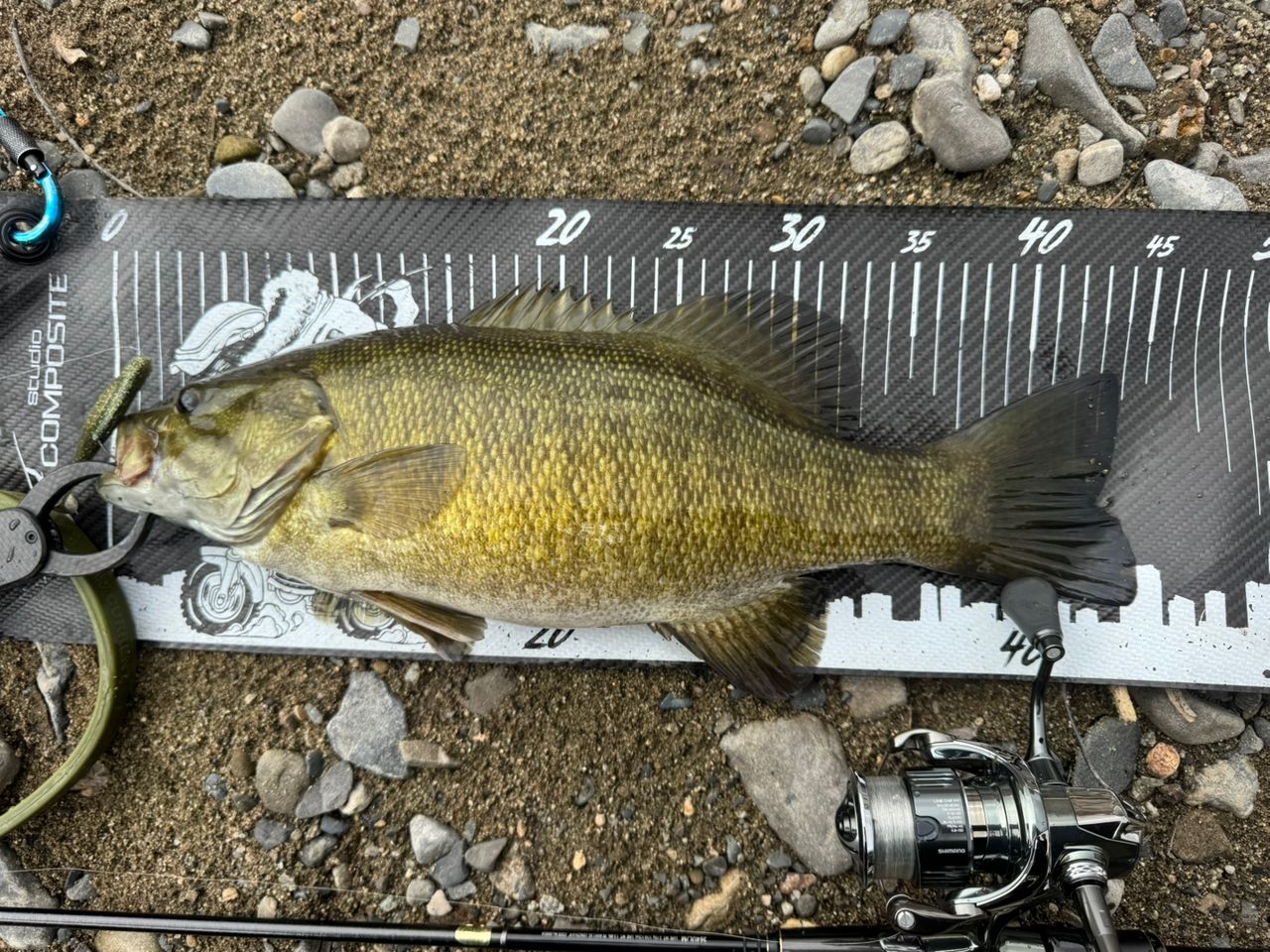 スモールマウスバス