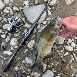 スモールマウスバス