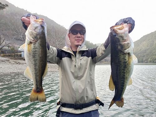 ブラックバスの釣果