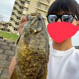 スモールマウスバス