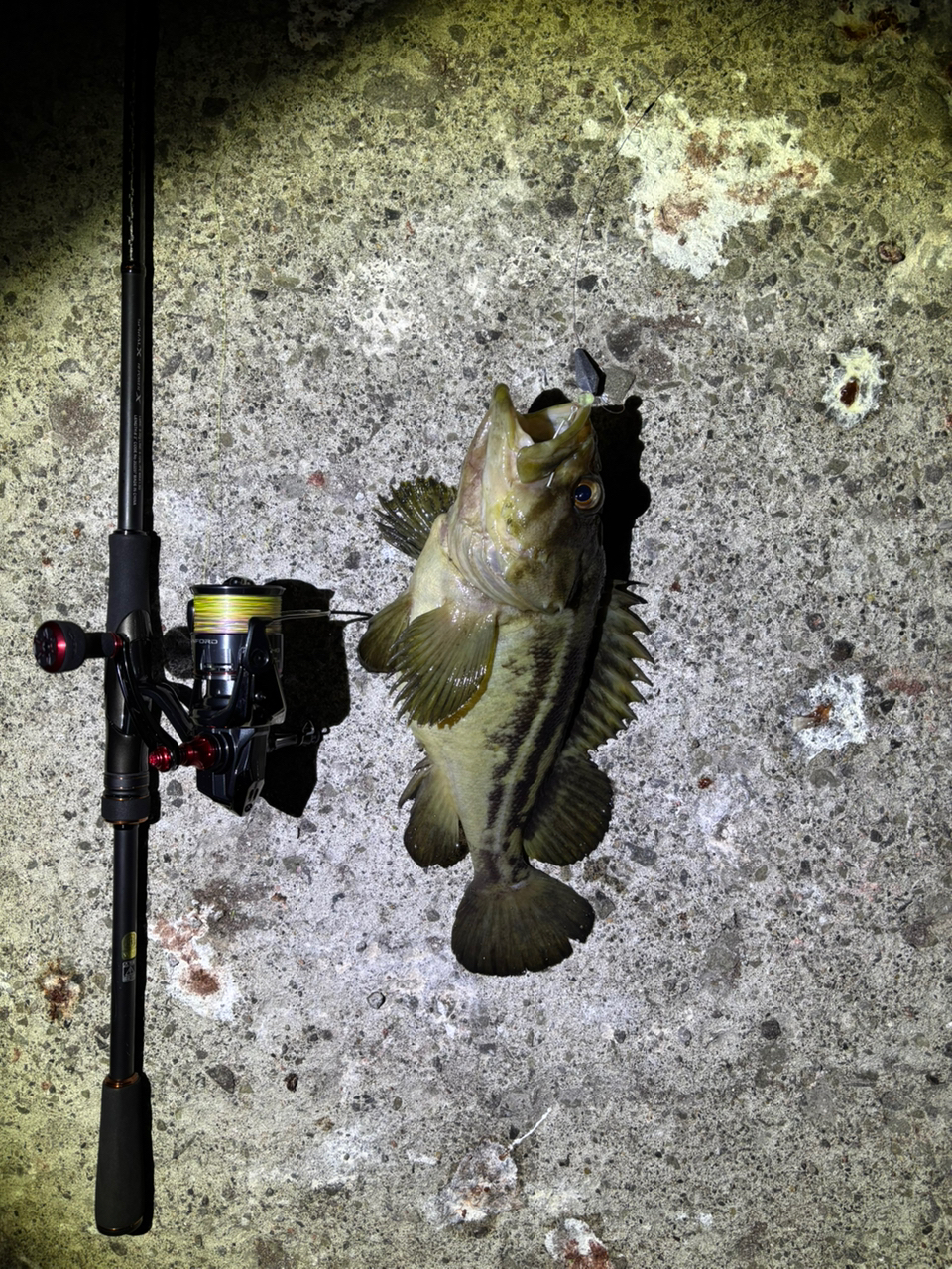 SHIMANO 22ハードロッカー SS S83MHの最安値・インプレ・釣果
