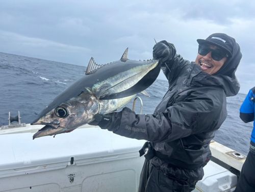 ビンチョウマグロの釣果