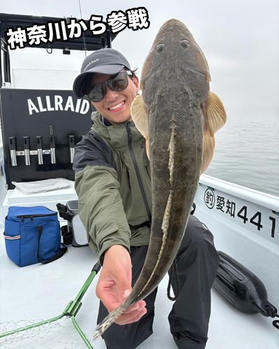 マゴチの釣果
