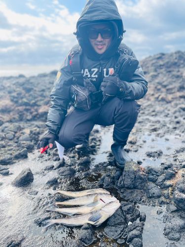 ホッケの釣果