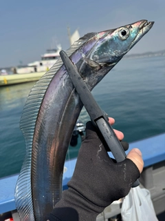 タチウオの釣果