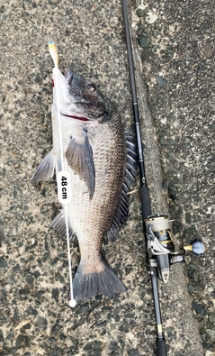 DAIWA 21ラブラックス AGS 93Mの最安値・インプレ・釣果 | 本音の 