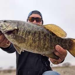 スモールマウスバス