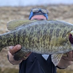 スモールマウスバス