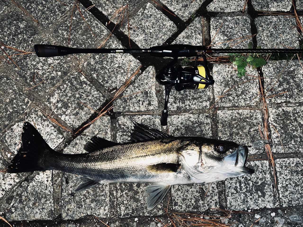 SHIMANO 21ソアレ エクスチューン MB S68UL-Sの最安値・インプレ