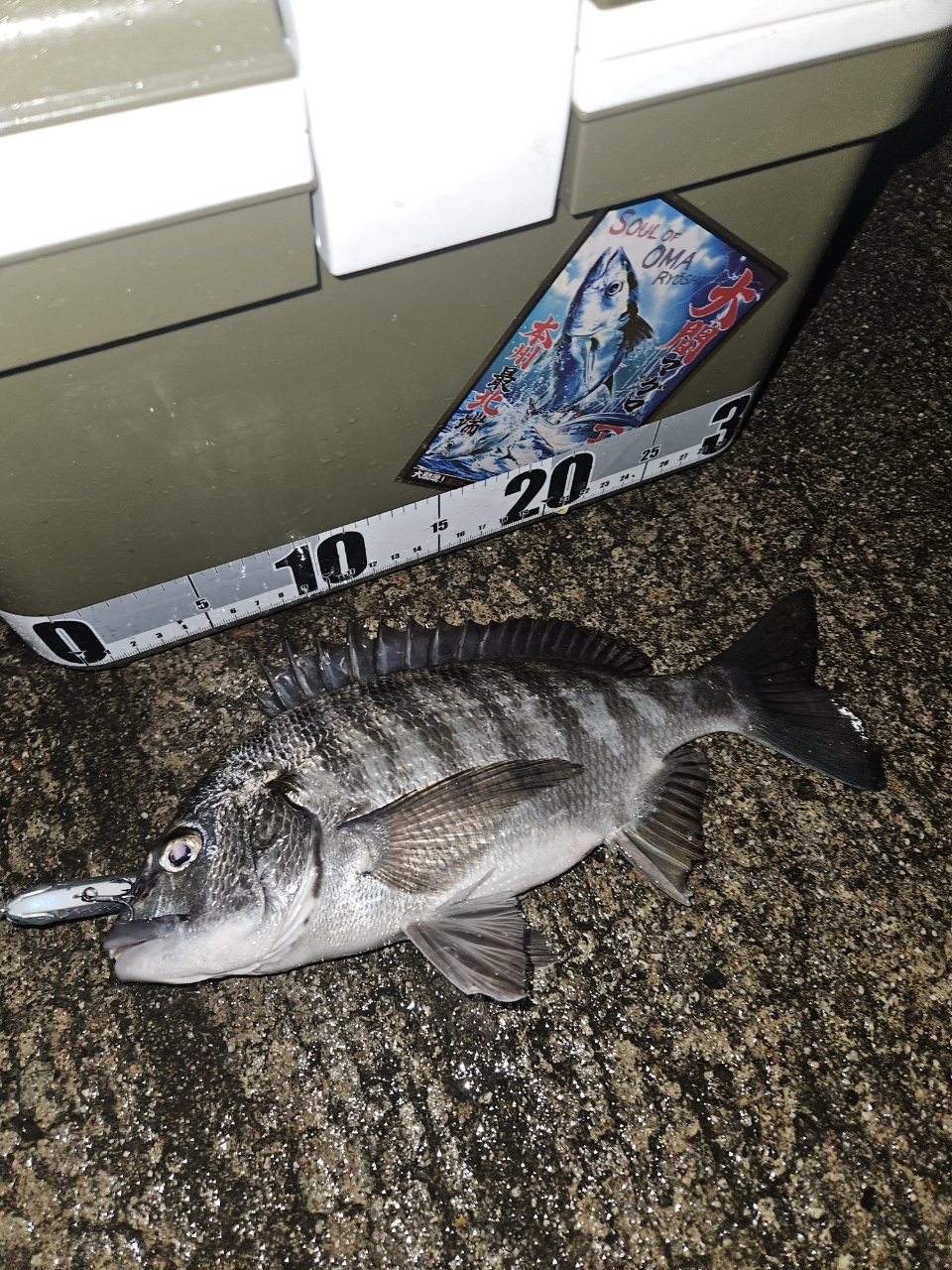 SHIMANO 22ミラベル 2500Sの最安値・インプレ・釣果 | 本音の