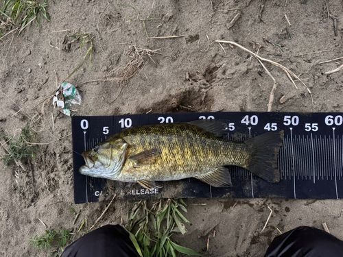 釣果