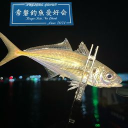 アジ