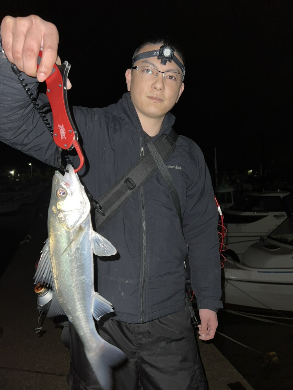 SHIMANO 17セフィア CI4+ S806MHの最安値・インプレ・釣果