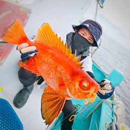 チカメキントキ